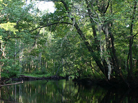 Little Pee Dee River Little Pee Dee River